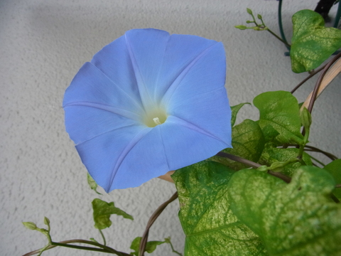 f0014980_7142030.jpg