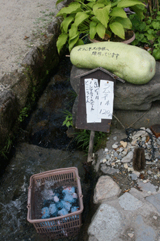 b0090883_14324882.gif