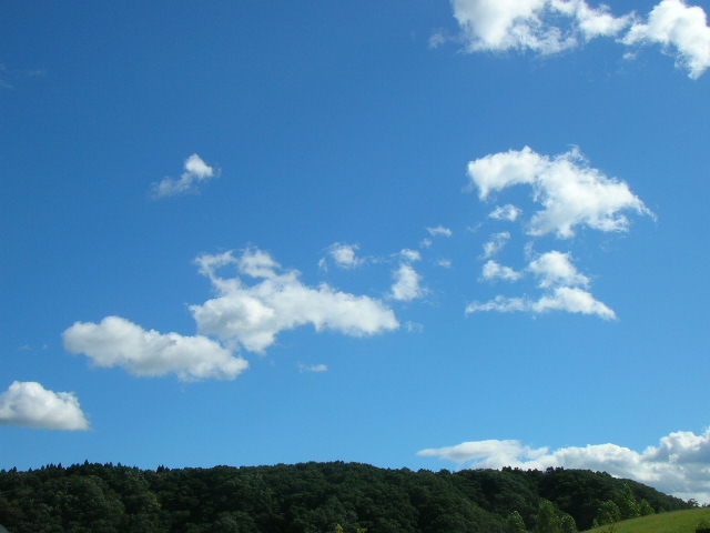 c0029190_19584877.jpg