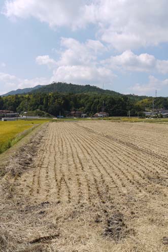 f0222692_21503222.jpg