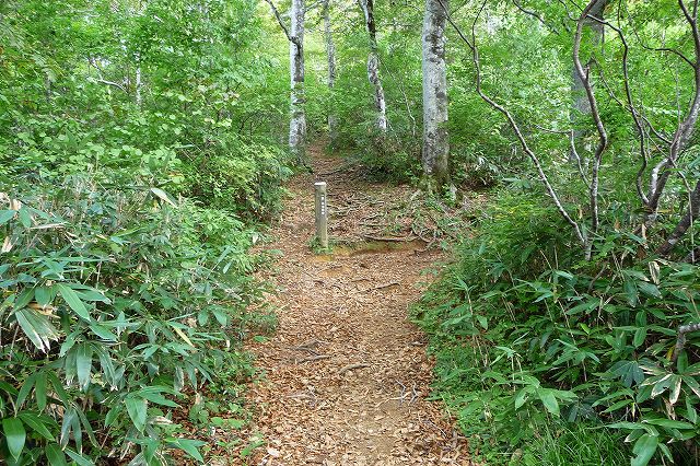 e0137200_21181050.jpg