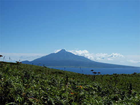 b0125301_21152781.jpg