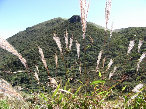 f0187402_20261434.jpg