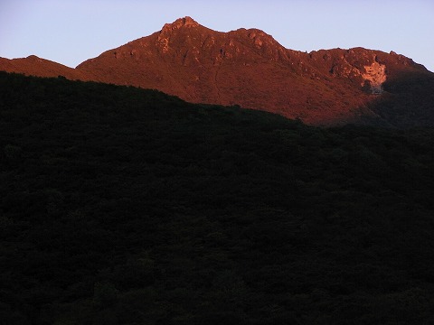 f0187402_2026348.jpg