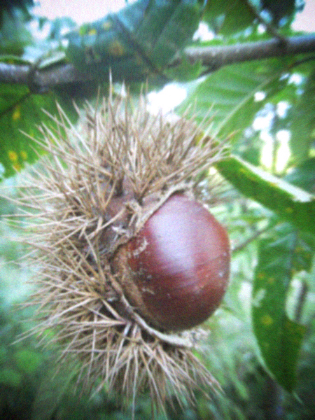 d0077603_2320322.jpg