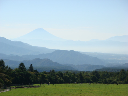 f0064906_1650135.jpg