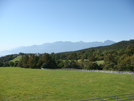 f0064906_16521675.jpg