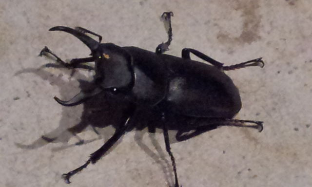 e0015108_8192368.jpg