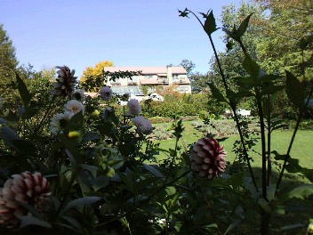 f0127408_1034423.jpg