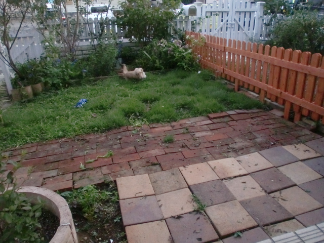 f0162908_22531077.jpg