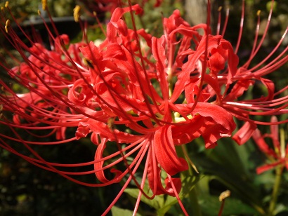 c0146714_21401522.jpg