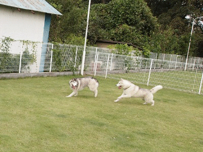 b0207615_2116502.gif