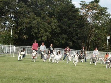 b0207615_2119898.gif