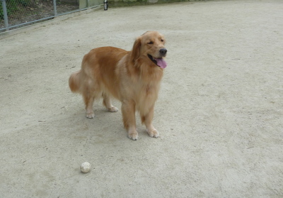 e0140616_20125190.jpg