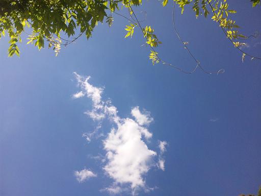 c0211221_848579.jpg