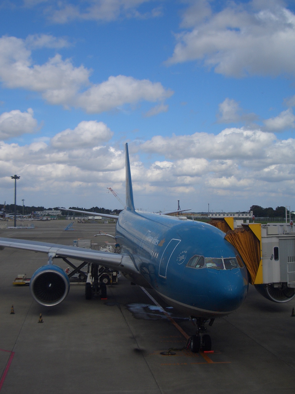 f0234821_1740019.jpg