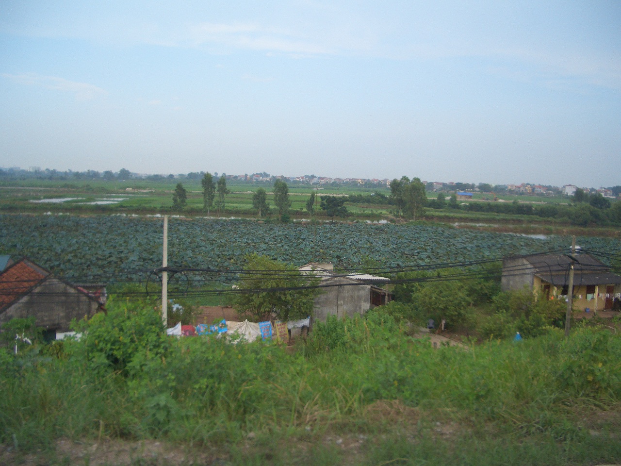 f0234821_17411760.jpg