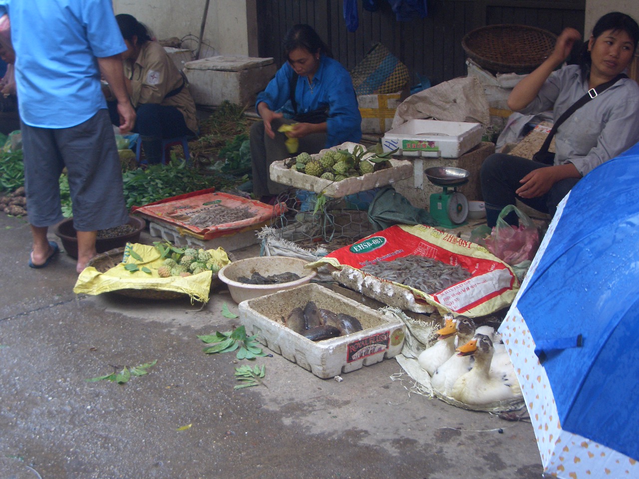 f0234821_1845049.jpg