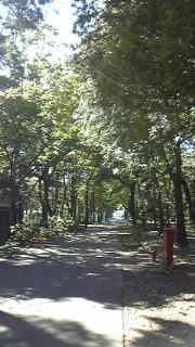 c0038722_13561518.jpg