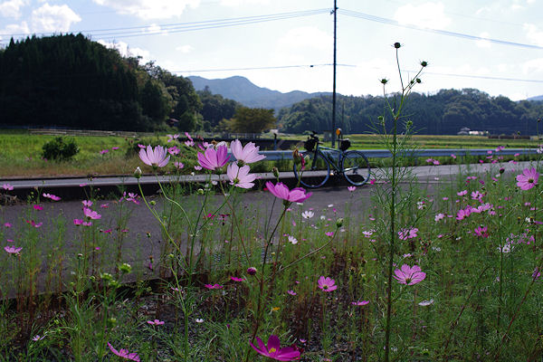 f0007926_13534627.jpg