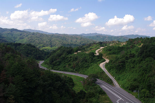 f0007926_1358241.jpg