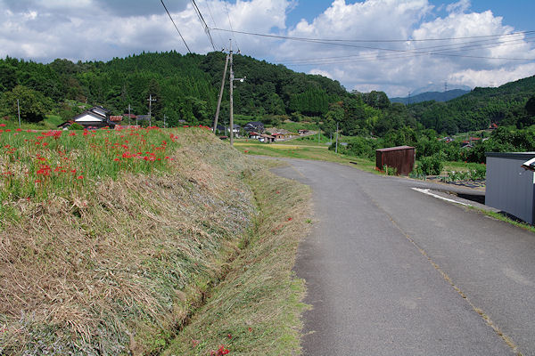 f0007926_15204113.jpg