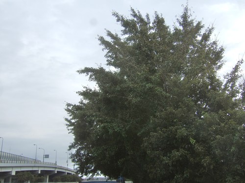 b0137932_16212232.jpg
