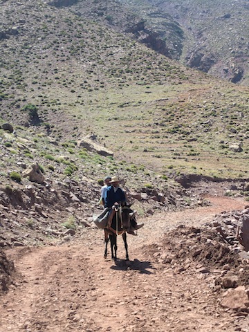 c0170236_21491913.jpg