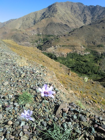 c0170236_21511218.jpg