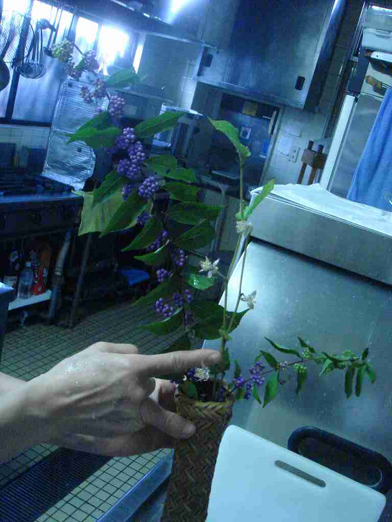 f0208737_805053.jpg