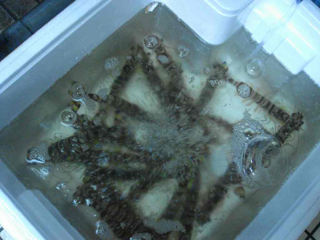 f0208737_8101413.jpg