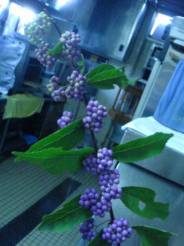 f0208737_81850.jpg