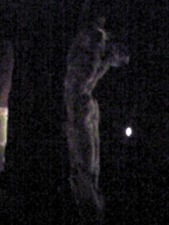 a0155838_2261426.jpg
