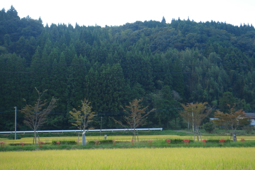 d0244839_12211758.jpg