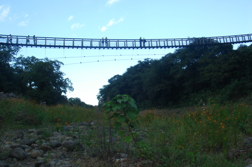 d0244839_1222343.jpg