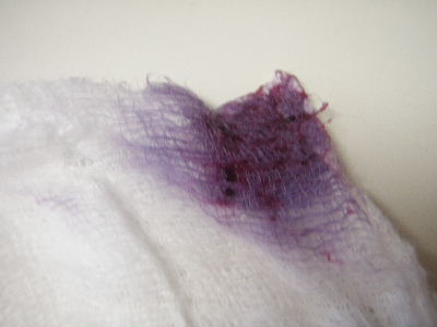 a0054240_20322861.jpg