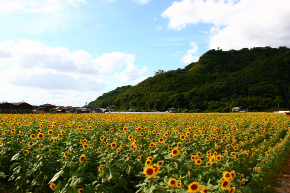 b0223541_22285399.jpg