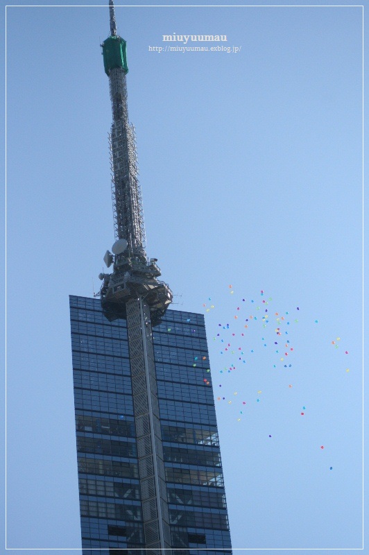 d0173942_1027559.jpg