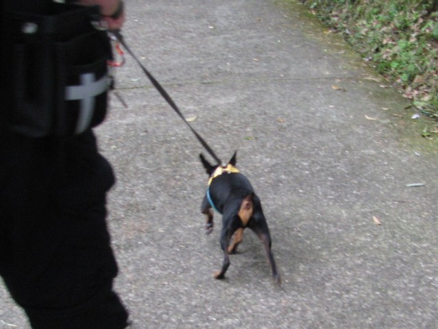 e0150843_0351086.jpg