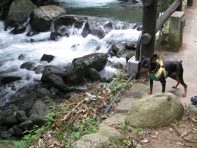 e0150843_0362972.jpg