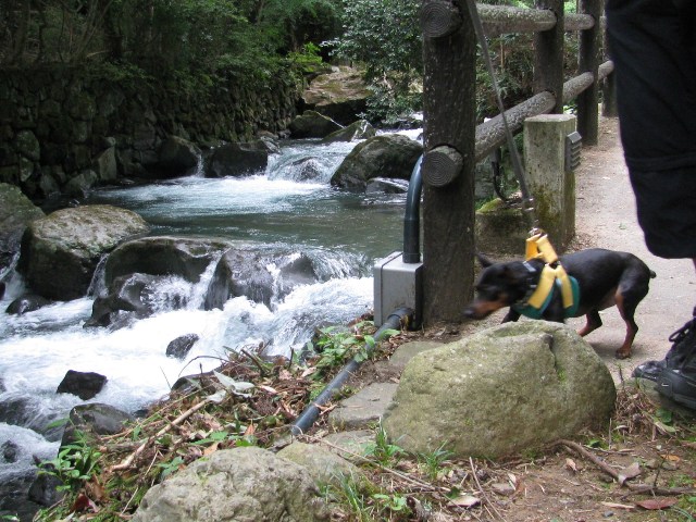 e0150843_0381026.jpg