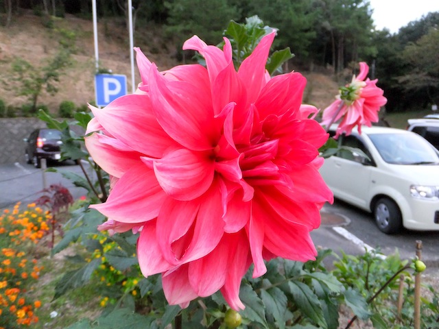 f0213347_23402016.jpg