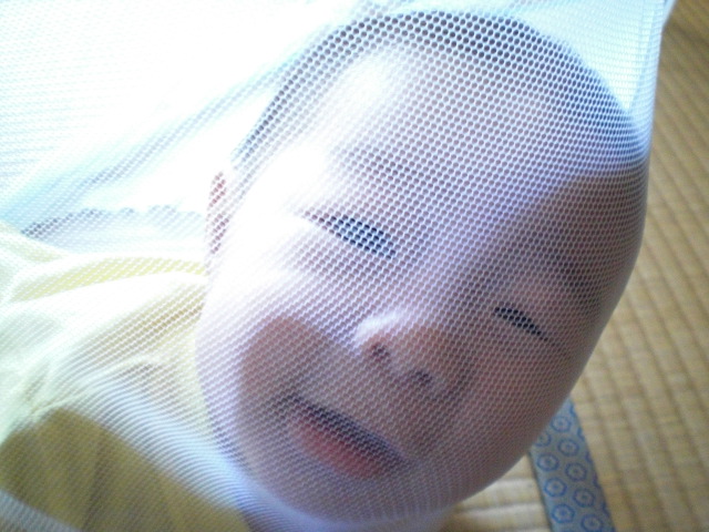 c0157348_19303877.jpg
