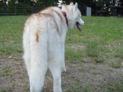 e0121548_21552472.jpg