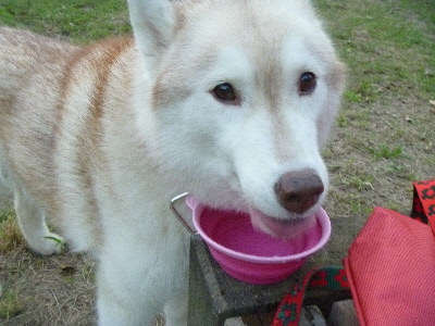 e0121548_228321.jpg