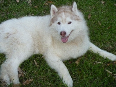 e0121548_2292577.jpg
