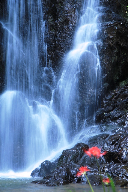 d0163550_20201440.jpg