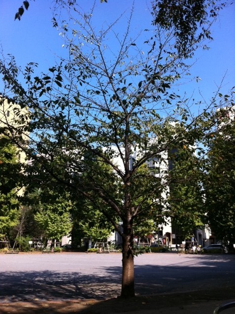 a0004752_22551135.jpg