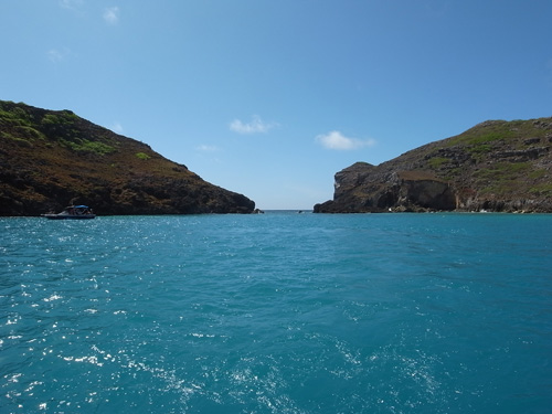 b0132663_8213420.jpg