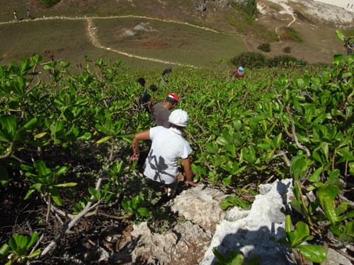 b0132663_82258100.jpg